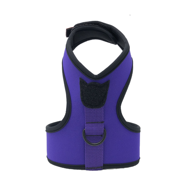 The Prowl - Purple Pounce Neoprene iso top| Catwalk Harness
