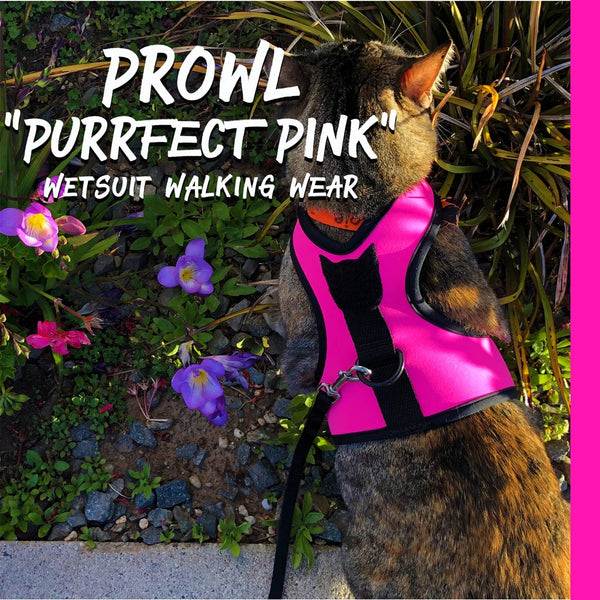 THE PROWL ~ PURRFECT PINK | SLIP-ON / SLIP-OFF | NEOPRENE WET-SUIT WALKING WEAR
