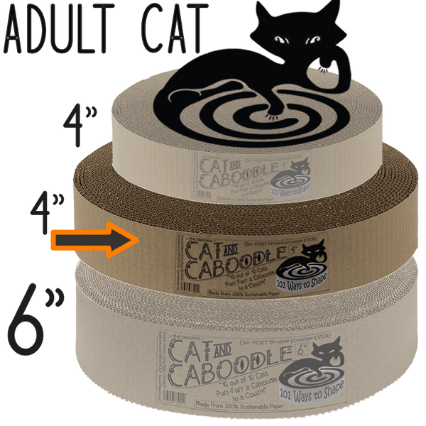 The Cat and Caboodle - For Adults 4 in x 20 in 