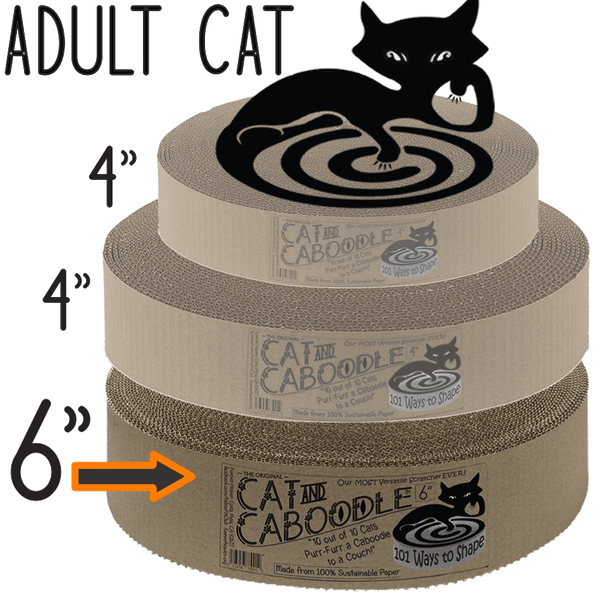 The Cat and Caboodle - For Adults 6 in x 20 in 