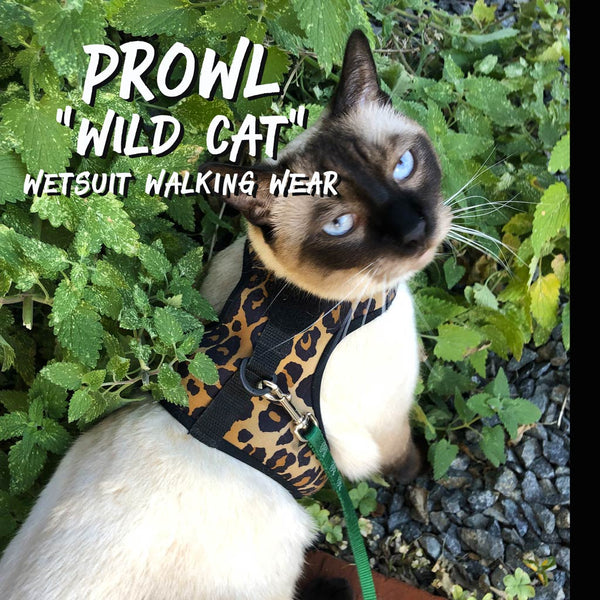 THE PROWL ~ WILD CAT | SLIP-ON / SLIP-OFF | NEOPRENE WET-SUIT WALKING WEAR